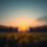 Tactical formation of Atalanta in recent matches