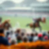 Historical overview of Grand National betting
