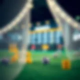 An overview of betting strategies